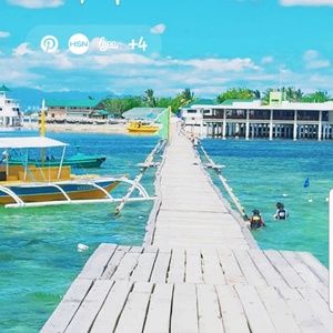 Meet your Posher, Cynthia